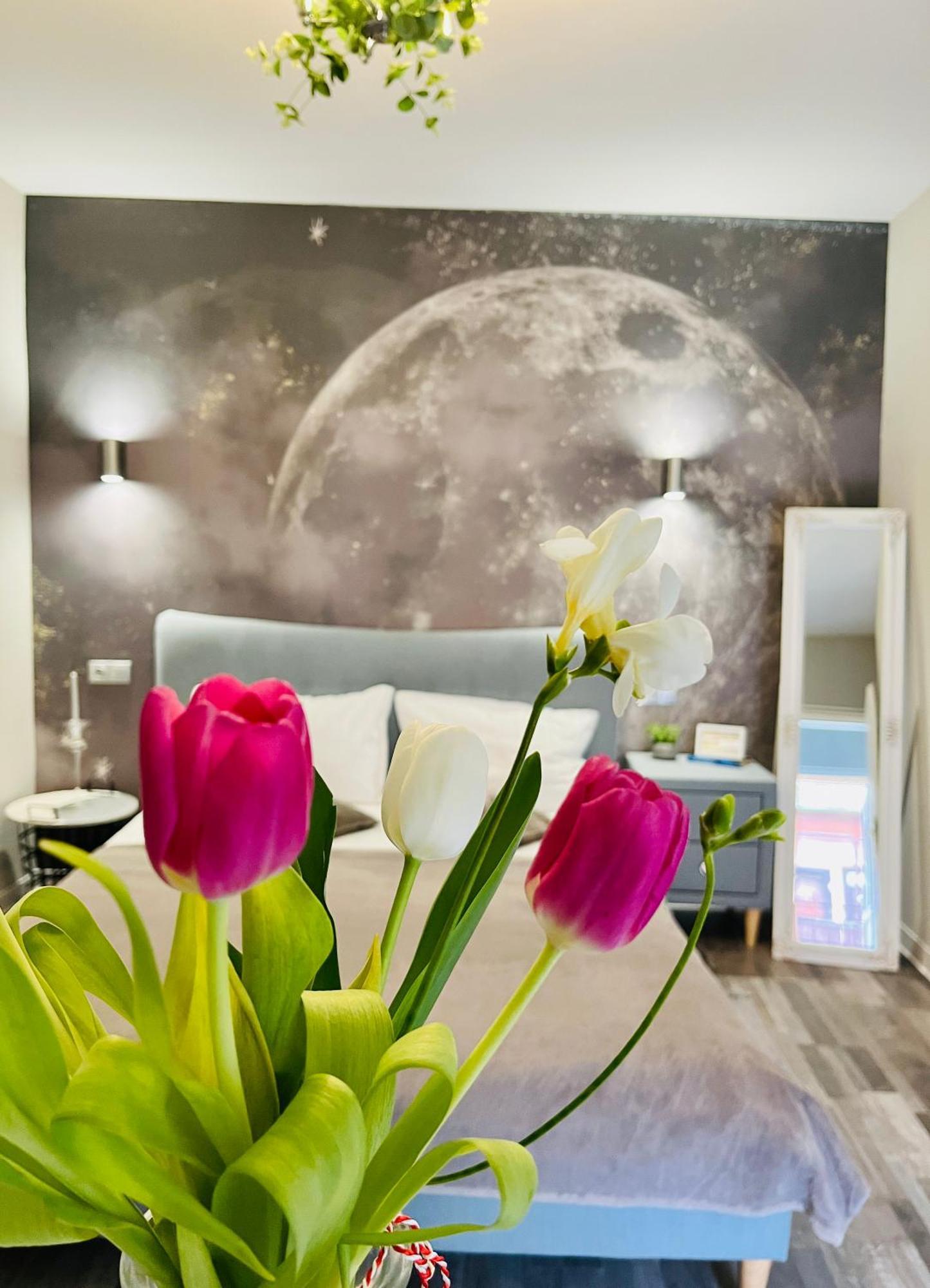 Moon And Sun Apartments Sibiu Exterior photo